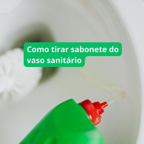 Como tirar sabonete do vaso sanitário