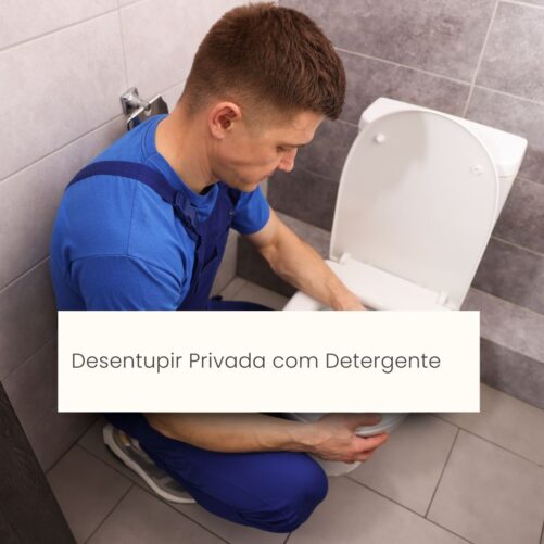 desentupir privada com detergente
