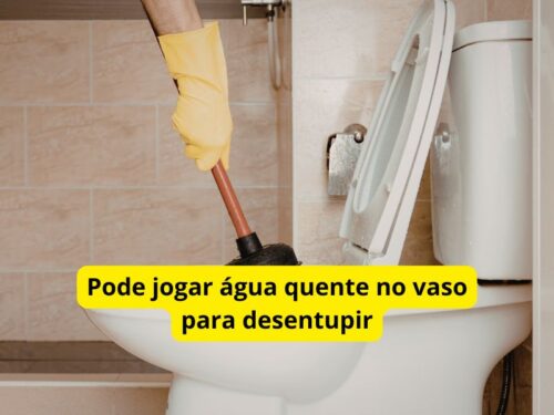 Pode jogar água quente no vaso para desentupir